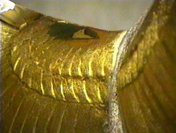 LA CHOUETTE D'OR de Michel BECKER - réalisée en or massif, argent massif et pierres précieuses Détail des dessus d'ailes